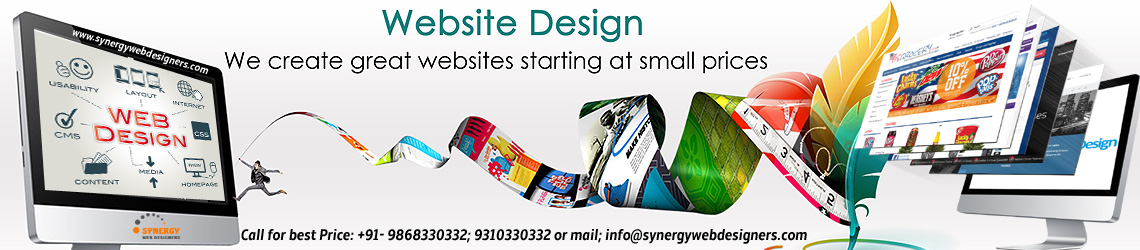 website designing company in delhi